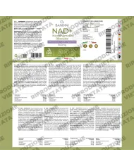 NAD+ Liposomiale - 120 Capsule